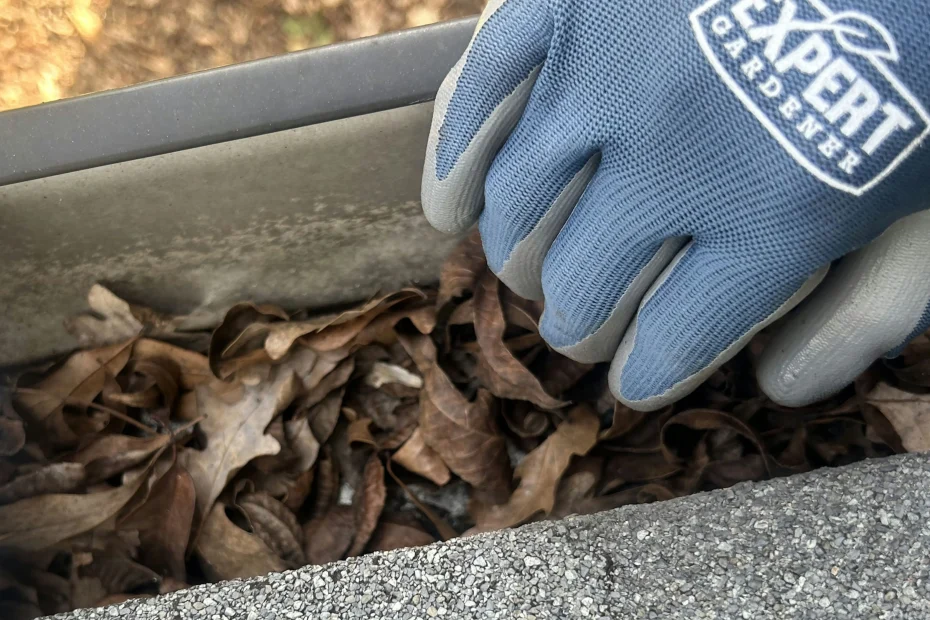 Gutter Cleaning Creedmoor