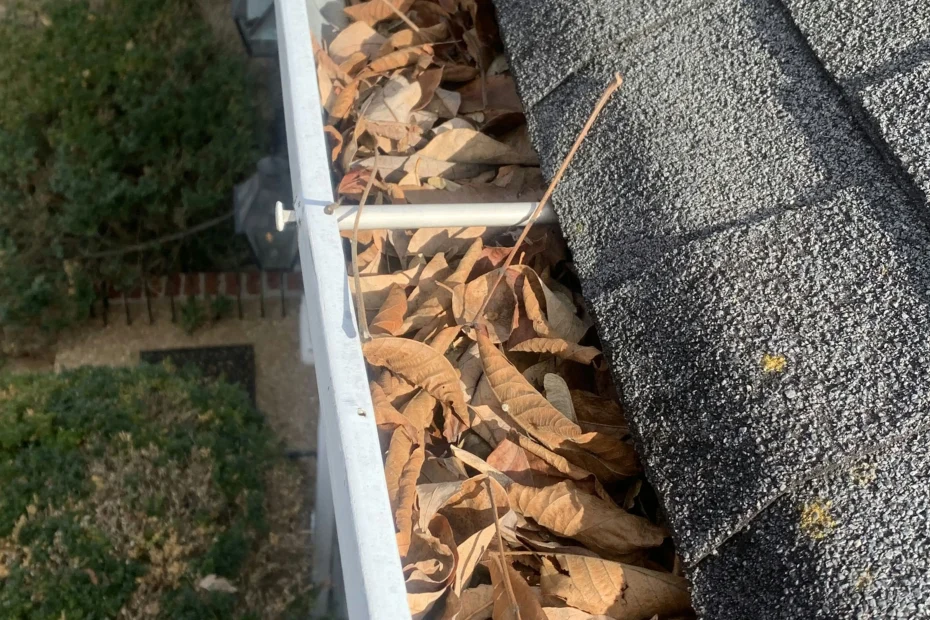 Gutter Cleaning Creedmoor