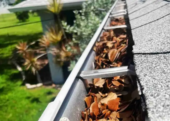 Gutter Cleaning Creedmoor home page